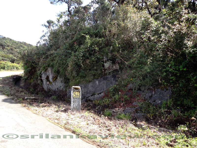 Pidurutalagala Mountain and Forest Reserve scenery