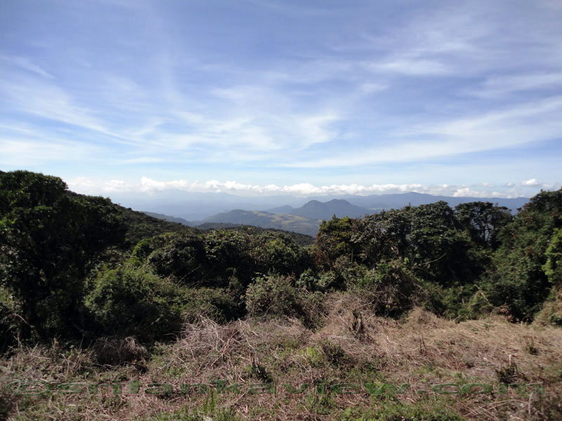Pidurutalagala Mountain and Forest Reserve scenery