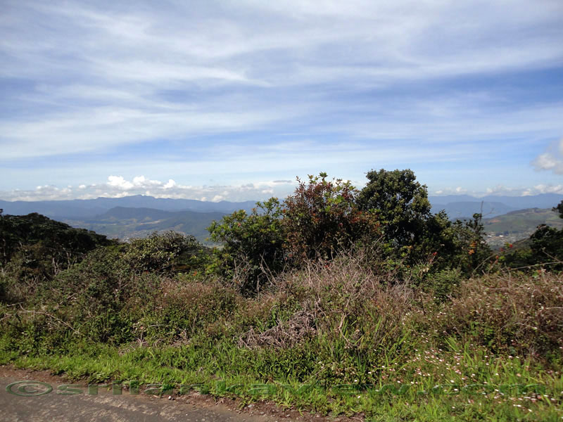 Pidurutalagala Mountain and Forest Reserve scenery