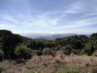 Pidurutalagala Peak & Forest