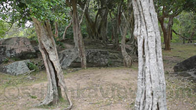 Gal Viharaya surrounding view
