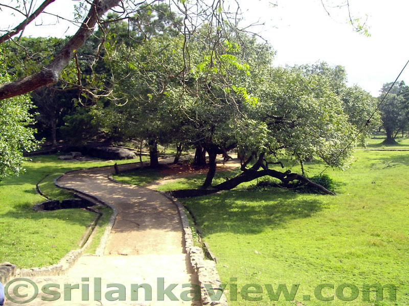 The path leading down to Gal Viharaya grom the gravel road which is at a higher elevation.