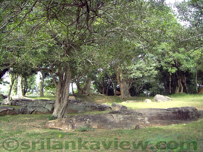 The path leading to Gal Viharaya is through these beautiful landscape.