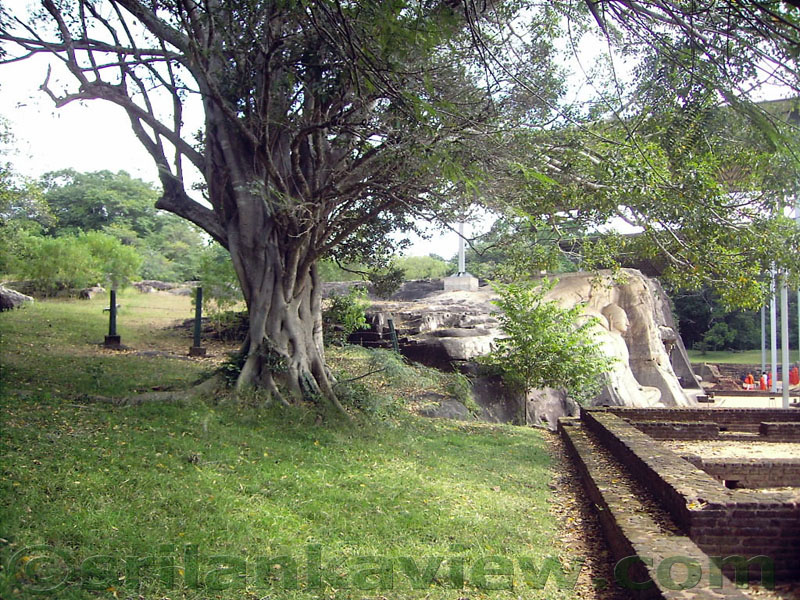 The first glimpse of the Gal Viharaya Buddha statues coming from the path.