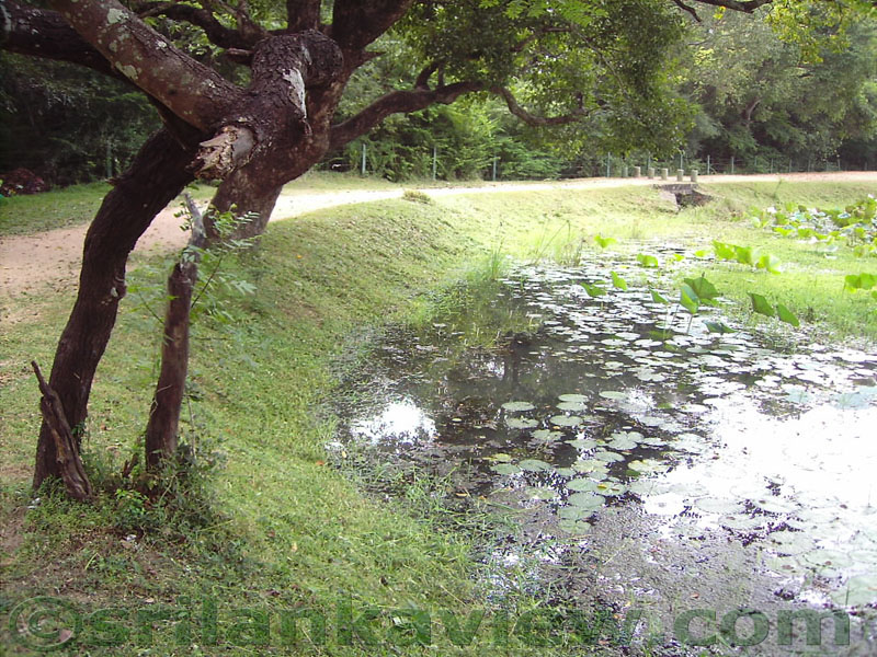 This pond is situated at the immediate surrounding of Gal Viharaya