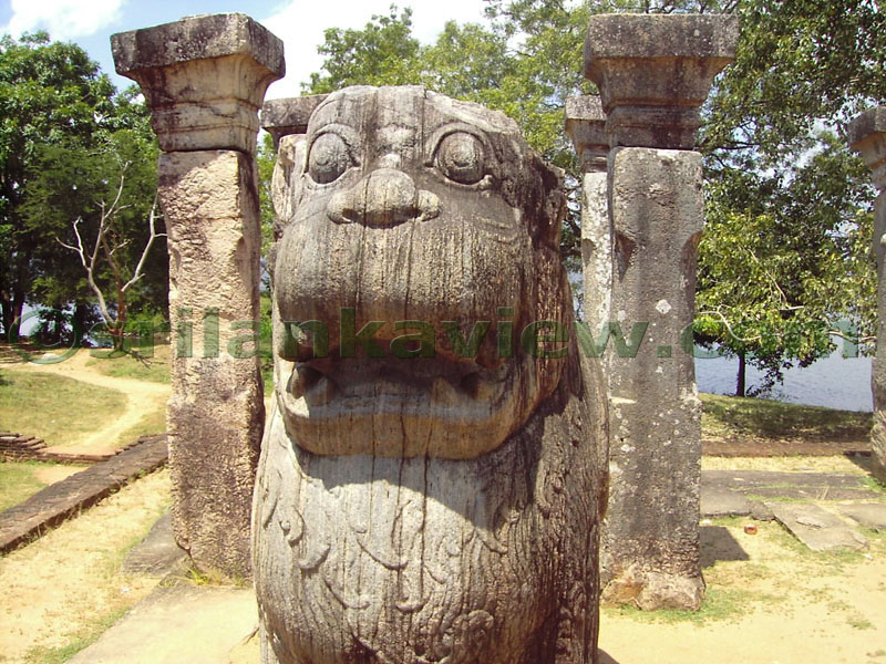 Front View of Lion Face.