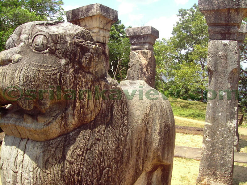 Uncommon photos of the famous Lion Throne ,