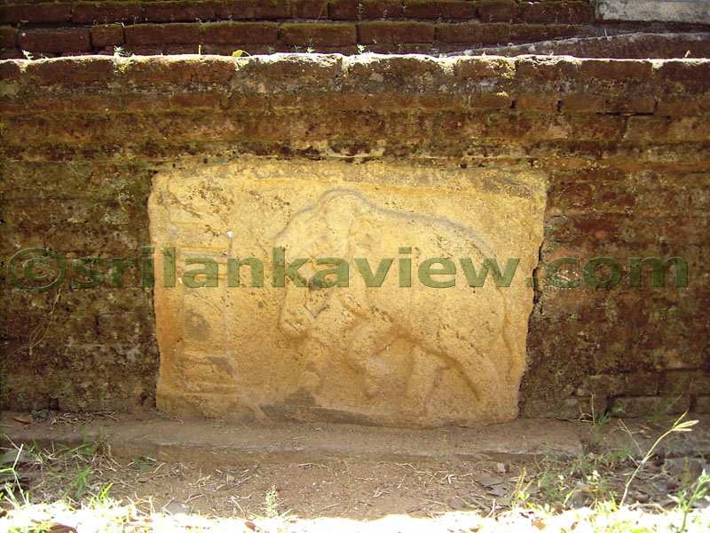 Relief of an Elephant, Raised Platform face,