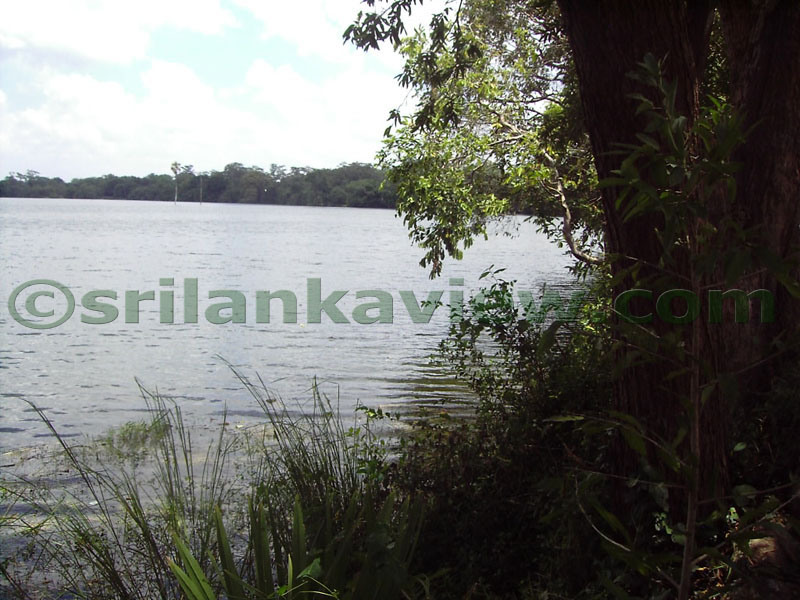 View of parakrama Samudra from Nissankamalla Council Chamber,Polonnaruwa