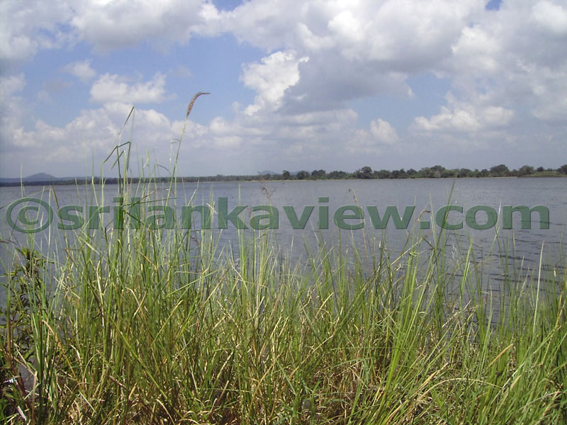 Parakrama Samudra was built by King Parakramabahu by combining Topawewa and the Dumbutulu Wewa.