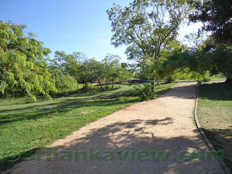 The path leading to the Potgul Vehera complex with the Statue of King Parakramabahu. 