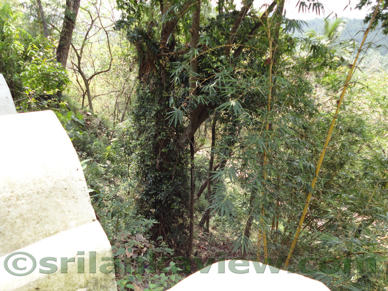 Ridi Viharaya