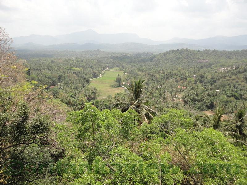 Ridi Viharaya