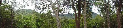 Panoramic Landscape, Ritigala Nature Reserve