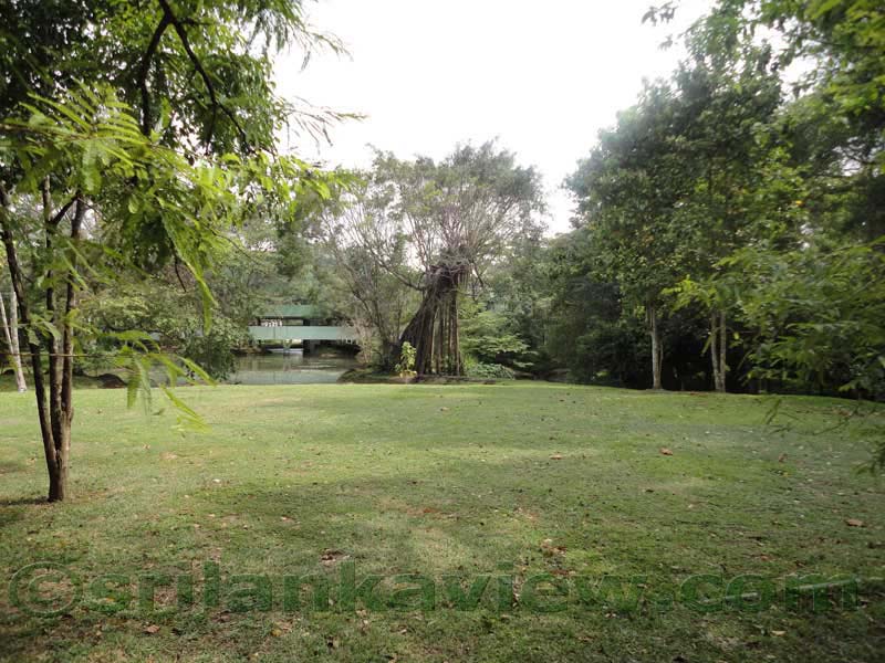 Sigiriya