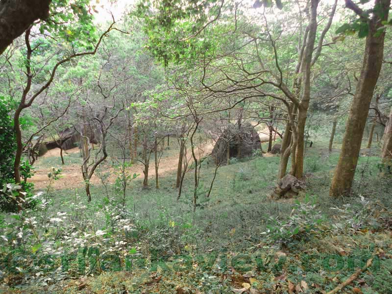 Sigiriya