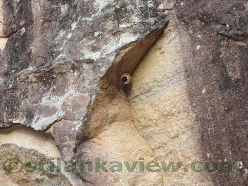 Sigiriya