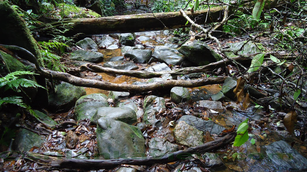 Halmandiya Dola or the Stream. The water flow is more when it rains.Sinharaja Rain Forest