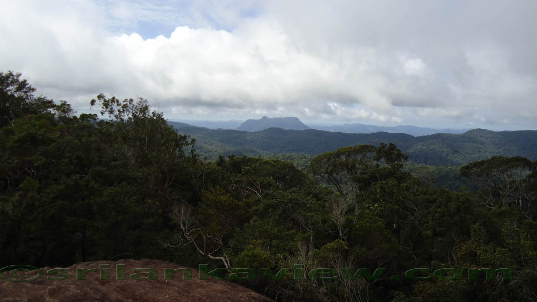Sinharaja Rain Forest