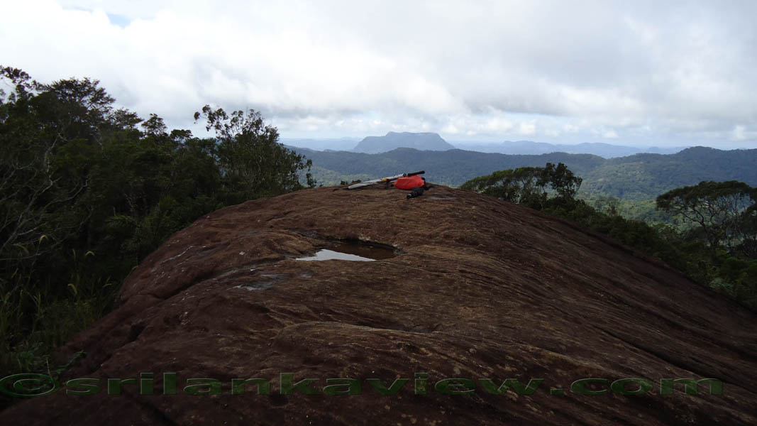 Sinharaja Rain Forest