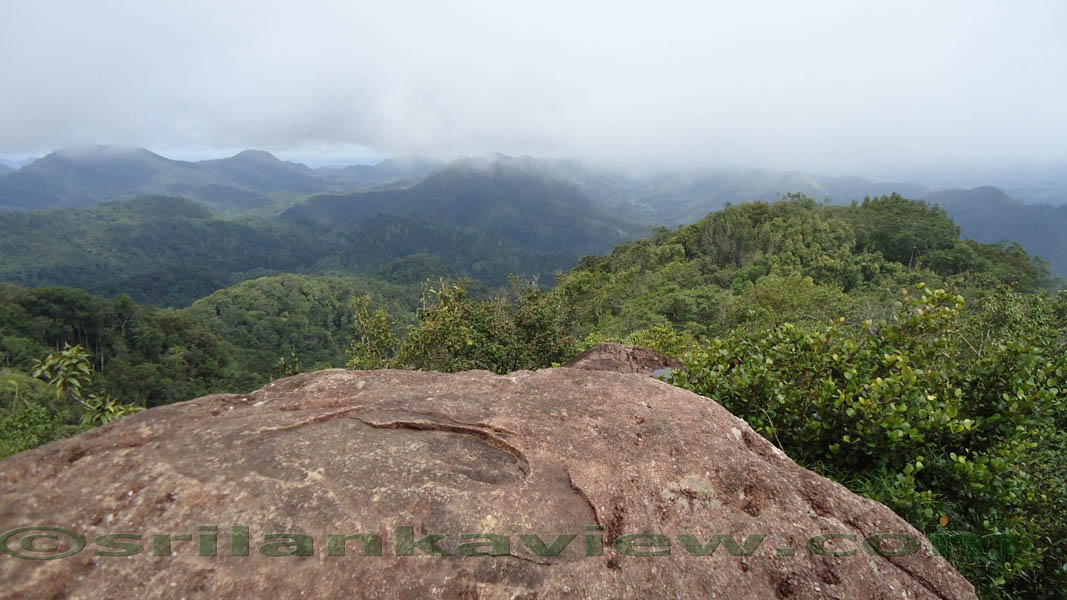 Sinharaja Rain Forest