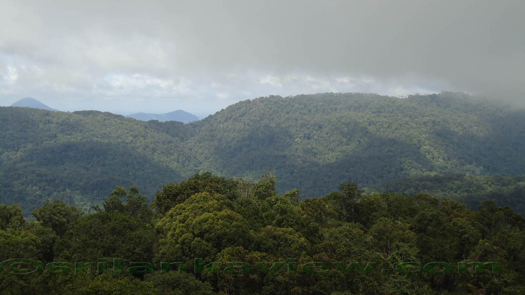 Sinharaja Rain Forest