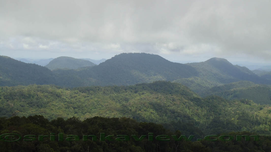 Sinharaja Rain Forest