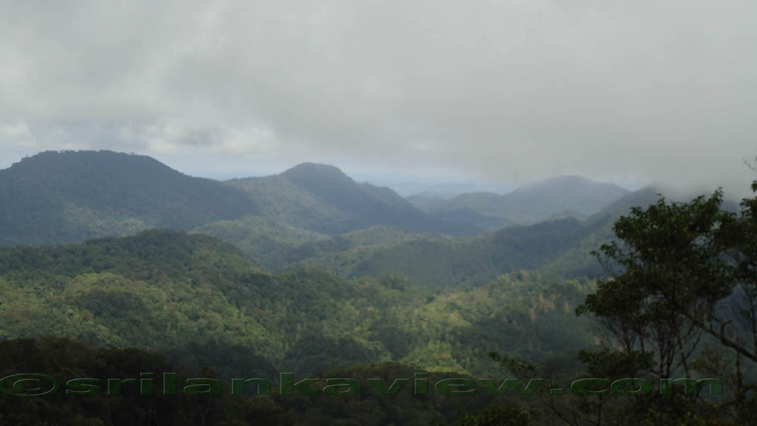 Sinharaja Rain Forest