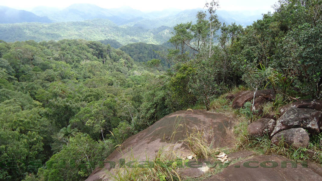 Sinharaja Rain Forest