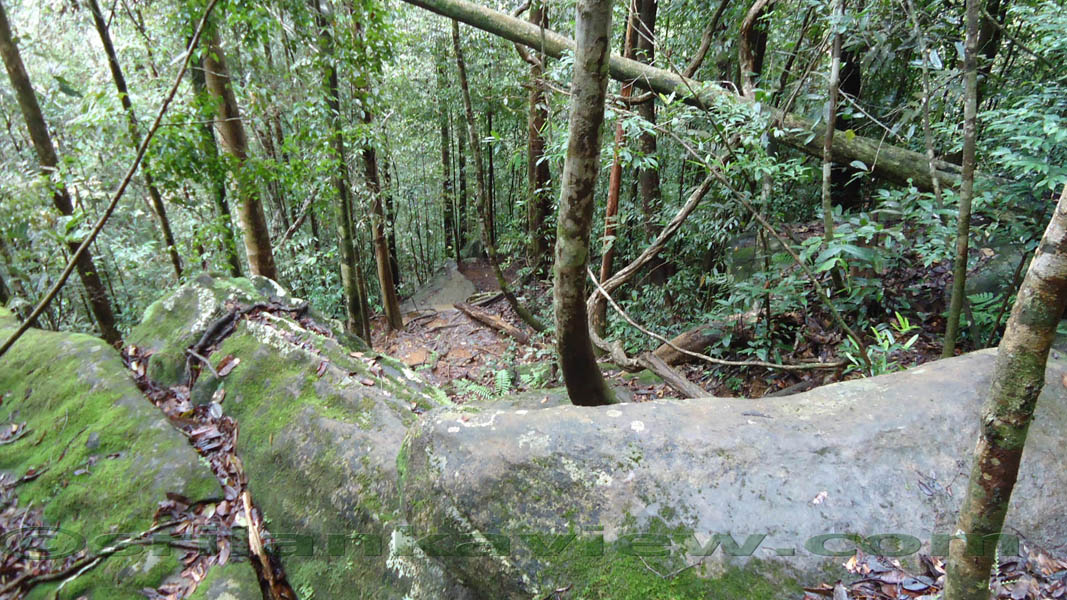 Sinharaja Rain Forest