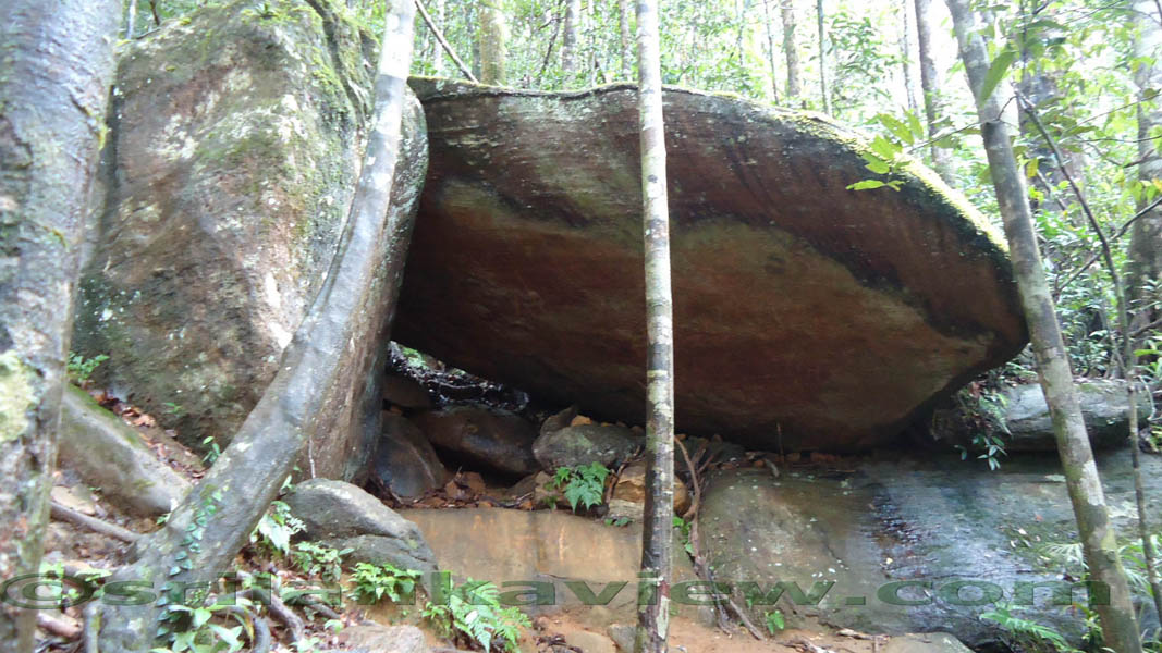 Sinharaja Rain Forest