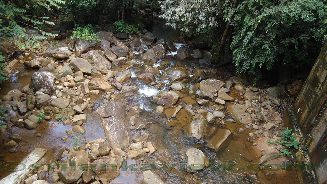 Sinharaja Rain Forest