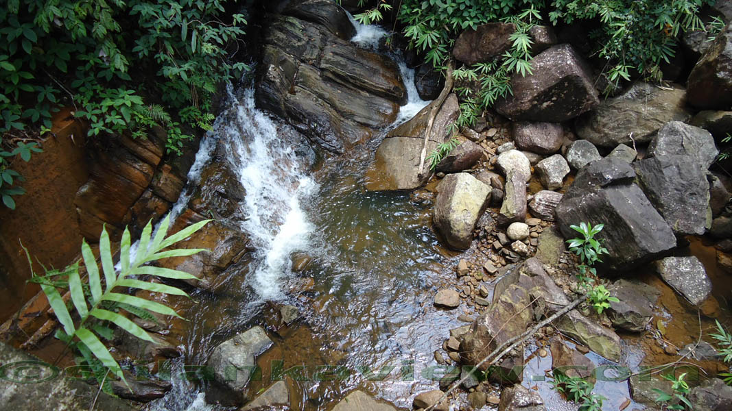 Sinharaja Rain Forest