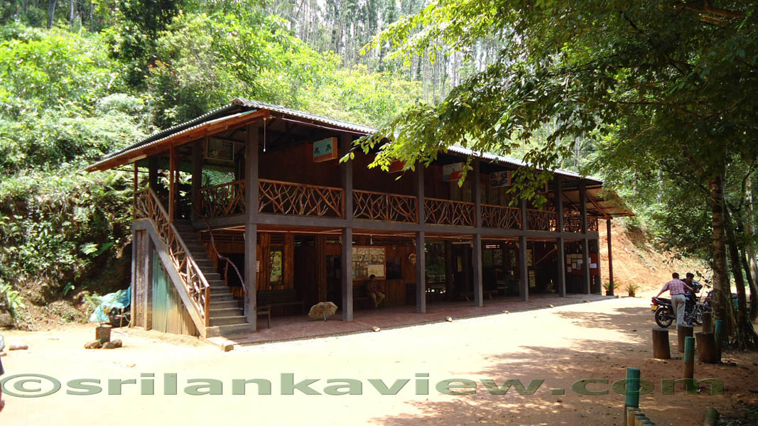 Sinharaja Rain Forest