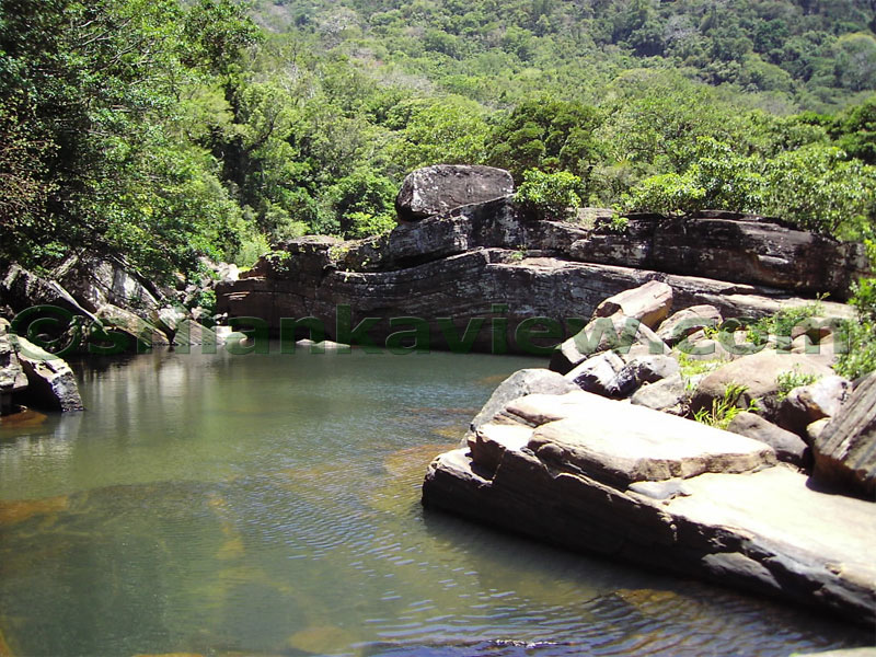 Knuckles Mountain Range