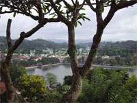 Kandy view