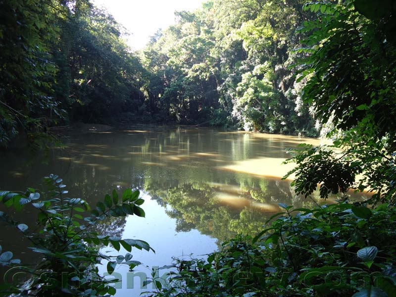 UdawattaKele Sanctuary