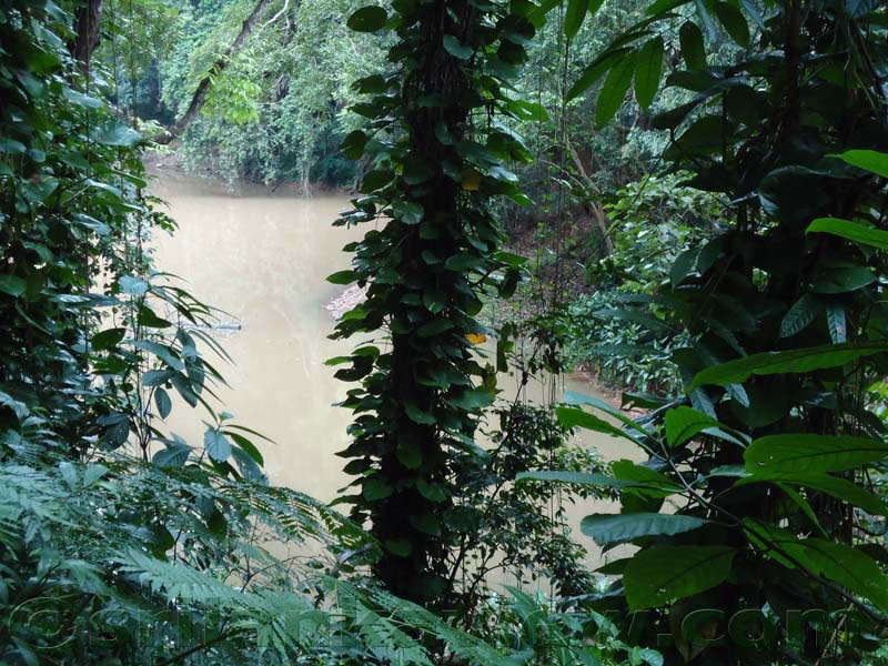 UdawattaKele Sanctuary