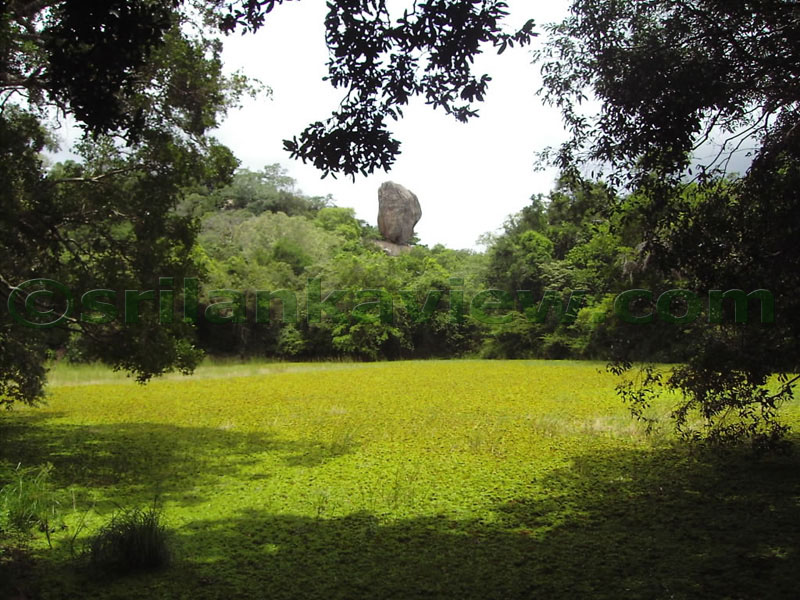 haththikuchchi   photos