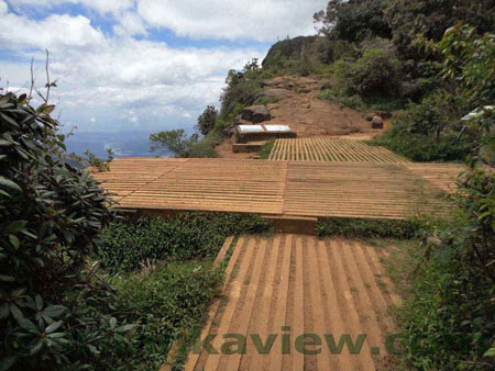 Horton Plains Image