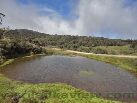 Horton Plains Image