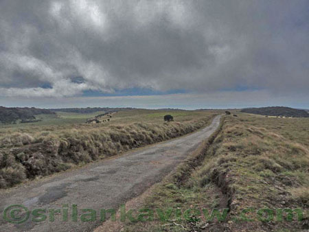 Horton Plains Image