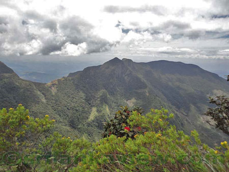 Horton Plains Image