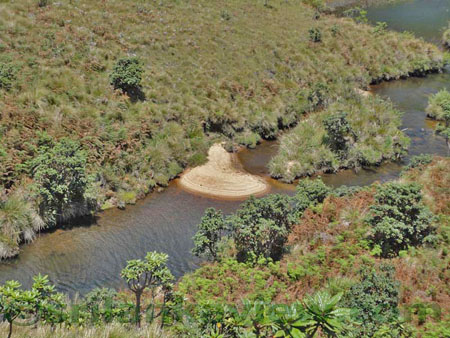 Horton Plains Image