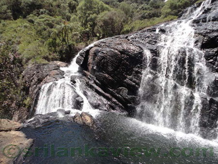 Horton Plains Image
