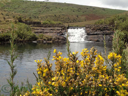 Horton Plains Image