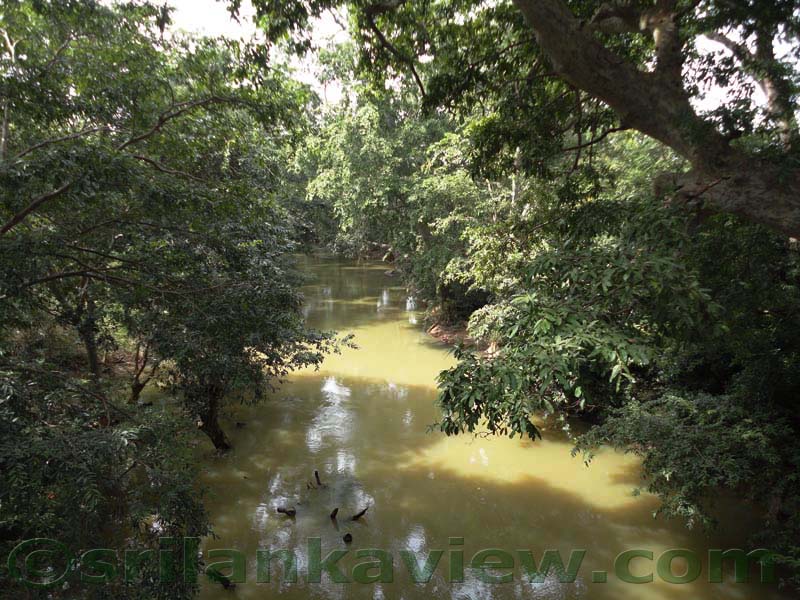 Kataragama Menik Ganga river
