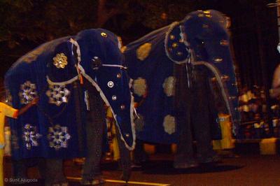 Two elephants with decorated  blue attire-Kandy Esala perahera 