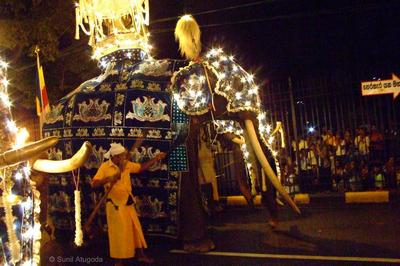 The majestic Maligawa Tusker with the casket of the Sacred Tooth Relic in the Kandy Esala Perahera