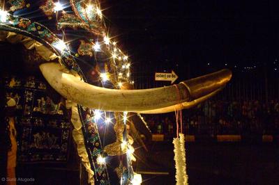 The companion right side tusker of majestic Maligawa Tusker that bears the casket of the Sacred Tooth Relic in the Kandy Esala Perahera